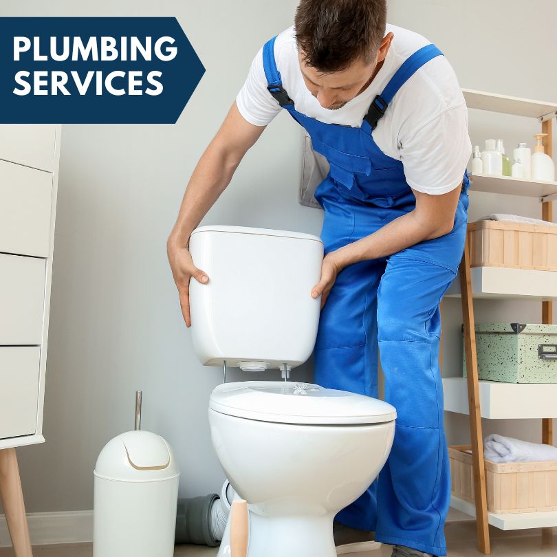 Plumbing Company in Roberts, ID